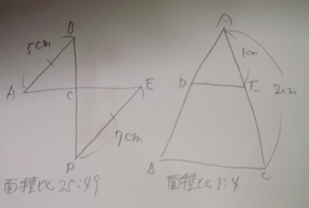 面積比は高さの等しい三角形の組を探す!相似は２乗！①―「中学受験＋塾なし」の勉強法!